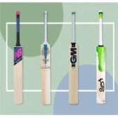 Cricket Bat